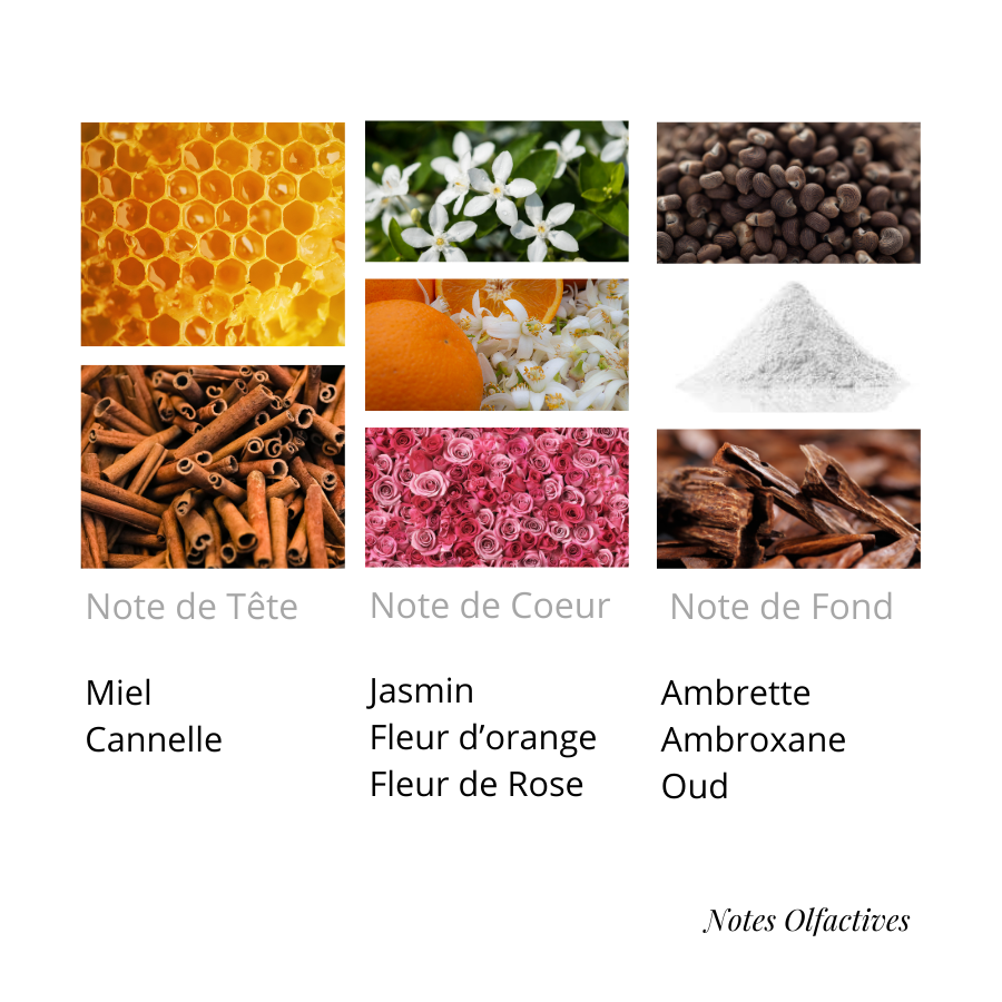 FLEUR DÉSERTIQUE
